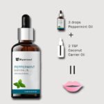 PM-15ML