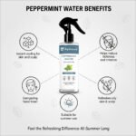 Peppermint-water-spray (1)