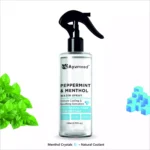 Ayurneed™ Peppermint & Menthol Water Spray for Cooling & Refreshing Skin